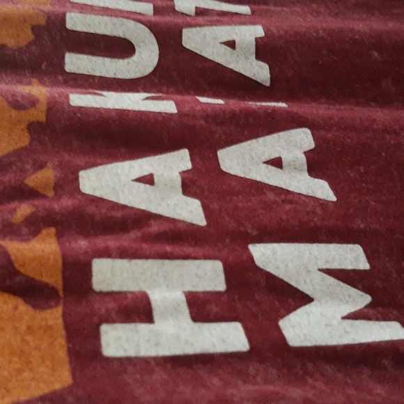 Disney Lion King Hakuna Matata Distressed Short Sleeve BURNOUT Tee Women’s L - Picture 5 of 12